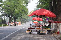 Obstverkäufer entlang der Straße