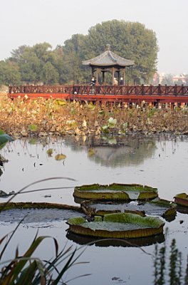 Pavillon und Steg auf einem See im alten Sommerpalast (Yuanming Yuan), Peking