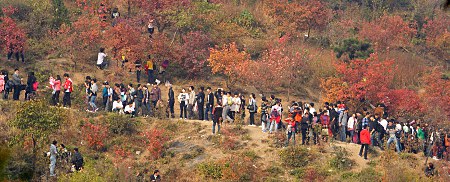Viele, viele Leute auf einem Weg zum Gipfel des Xiangshan