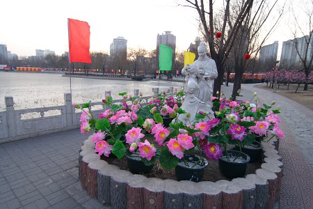 Künstliche Lotusblumen im Lianhuachi Gongyuan