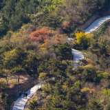 Baiwangshan 百望山森林公园