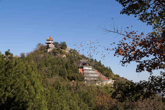 Baiwangshan 百望山森林公园