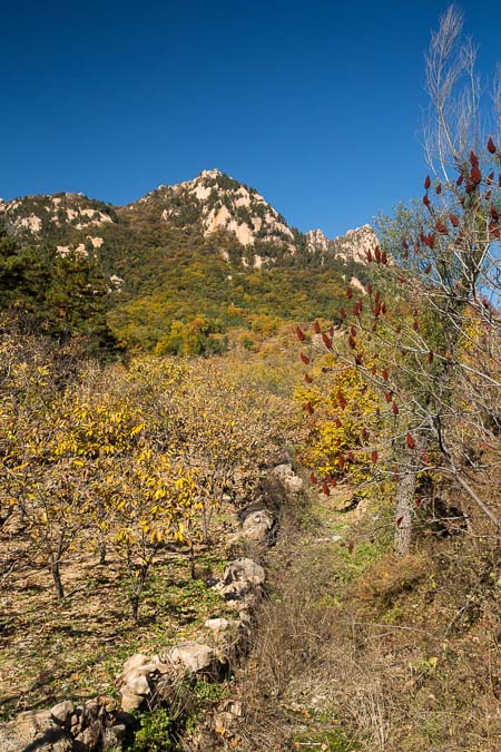 Blick auf den „Silberberg“ (银山) im Herbst