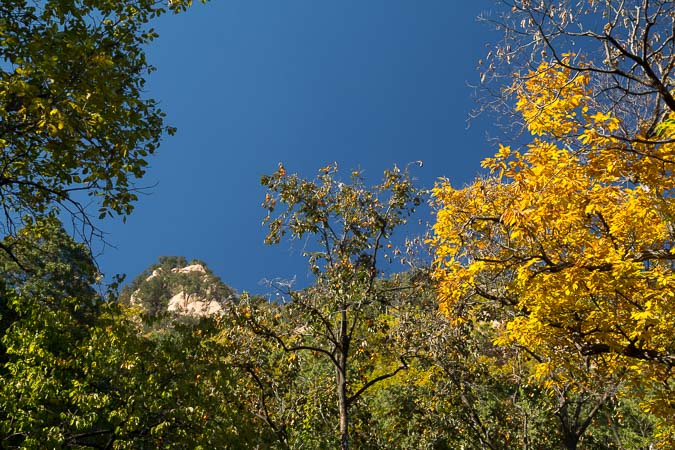 Herbstfarben am „Silberberg“ (银山)