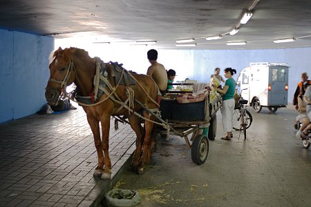 Händler mit Pferdegespann in der Unterführung
