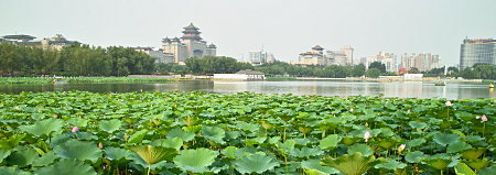 Lotusblumenteich, dahinter der Westbahnhof, Lianhuachi Gongyuan, Peking
